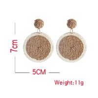 1 Pair Vacation Color Block Raffia Drop Earrings main image 5