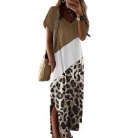 Women's Slit Dress Casual Vacation Round Neck Short Sleeve Color Block Leopard Maxi Long Dress Holiday main image 3