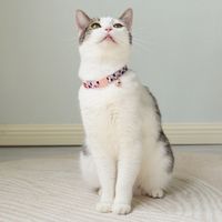 Simple Printed Adjustable Cute Dog Pet Collar Set main image 3