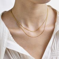 304 Stainless Steel IG Style Simple Style Layered Solid Color Layered Necklaces main image 7
