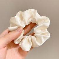 Women's Simple Style Solid Color Cloth Elastic Band Hair Tie sku image 1