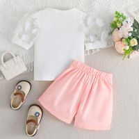 Streetwear Solid Color Flower Cotton Girls Clothing Sets main image 5