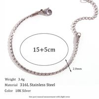 Simple Style Classic Style Oval Stainless Steel Bracelets sku image 6