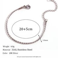 Simple Style Classic Style Oval Stainless Steel Women's Anklet sku image 4