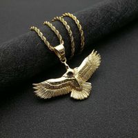 Hip-hop Eagle Titanium Steel Plating Unisex Pendant Necklace main image 3