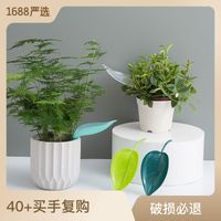 A2928 Creative Potted Tree Leaf Type Diversion Watering Funnel Plant Drainage Watering Machine Watering Device sku image 4