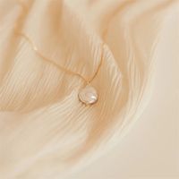 Stainless Steel Freshwater Pearl 14K Gold Plated Rose Gold Plated Simple Style Plating Solid Color Freshwater Pearl Pendant Necklace main image 1