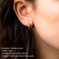 1 Pair Simple Style Round Solid Color Plating Stainless Steel 14K Gold Plated Rose Gold Plated Hoop Earrings main image 4
