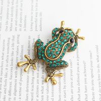Style Cool Brillant Animal Grenouille Alliage Incruster Strass Unisexe Broches main image 3