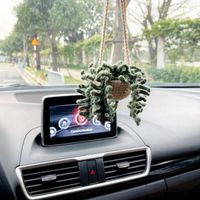 Hand-crocheted Chlorophytum Potted Yarn Car Rearview Mirror Creative Ornament sku image 40