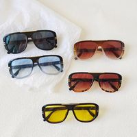 Ig Style Vacation Leopard Pc Resin Toad Glasses Full Frame Men's Sunglasses main image 5