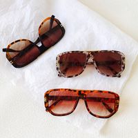 Ig Style Vacation Leopard Pc Resin Toad Glasses Full Frame Men's Sunglasses main image 4