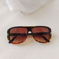 Ig Style Vacation Leopard Pc Resin Toad Glasses Full Frame Men's Sunglasses sku image 6