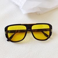 Ig Style Vacation Leopard Pc Resin Toad Glasses Full Frame Men's Sunglasses sku image 7