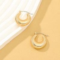 1 Pair Lady Solid Color Irregular Alloy Earrings main image 1