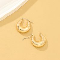 1 Pair Lady Solid Color Irregular Alloy Earrings main image 6