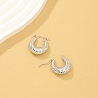 1 Pair Lady Solid Color Irregular Alloy Earrings main image 7