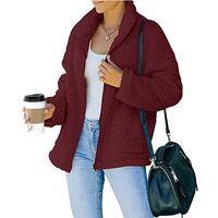 Women's Preppy Style Solid Color Zipper Coat Woolen Coat sku image 7