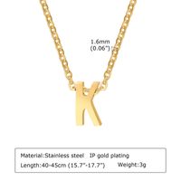 304 Stainless Steel Simple Style Plating Letter Pendant Necklace sku image 10