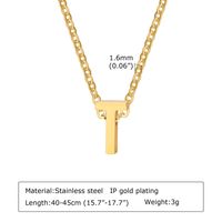 304 Stainless Steel Simple Style Plating Letter Pendant Necklace sku image 19