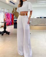 Women's Casual Classic Style Solid Color Polyester Backless Pants Sets sku image 20