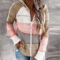 Women's Knitwear Long Sleeve Sweaters & Cardigans Rib-knit Streetwear Solid Color main image 4