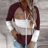 Women's Knitwear Long Sleeve Sweaters & Cardigans Rib-knit Streetwear Solid Color main image 5