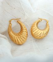 1 Paire Style Simple Style Classique Tourner Placage Acier Au Titane Plaqué Or Boucles D'oreilles main image 1