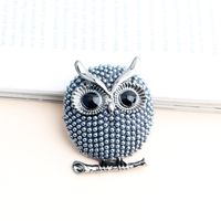 Funny Owl Alloy Inlay Alloy Unisex Brooches main image 2