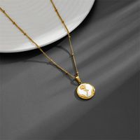 Titanium Steel 18K Gold Plated Elegant Plating Inlay Rose Butterfly Acrylic Pendant Necklace main image 5