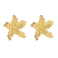 1 Pair Elegant Pentagram Alloy Ear Studs main image 7