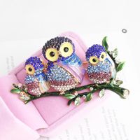 Rétro Nouveauté Hibou Alliage Incruster Strass Unisexe Broches main image 3