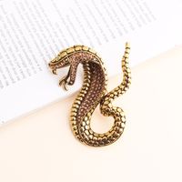 Exaggerated Funny Snake Alloy Unisex Brooches main image 2