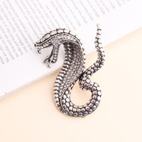 Exaggerated Funny Snake Alloy Unisex Brooches main image 3