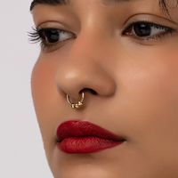 Exaggerated Rock Punk Round Alloy Plating Nose Ring main image 9