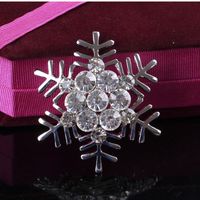 Style Simple Flocon De Neige Alliage Strass Incruster Strass Femmes Broches main image 1