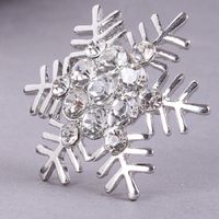 Estilo Simple Copo De Nieve Aleación Diamante De Imitación Embutido Diamantes De Imitación Mujeres Broches main image 3