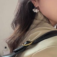 1 Pair Elegant Lady Irregular Plating Imitation Pearl Metal Earrings main image 5