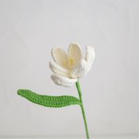 أسلوب بسيط ورد الزهور المجففة النباتات المقلدة sku image 5