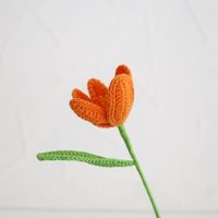 Simple Style Flower Dried Flower Imitation Plants sku image 2