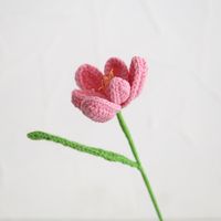أسلوب بسيط ورد الزهور المجففة النباتات المقلدة sku image 3