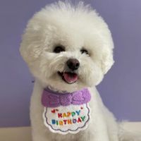 Ins Cute Happy Birthday Hat Bib Dog Cat Pet Bib Saliva Towel sku image 1