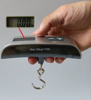 Luggage Scale Electronic Scale Handheld Scale Hook Scale Parcel Scale 50kg Mini Crane Scales Portable Spring Crane Scale Fishing Scale sku image 1