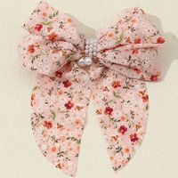 Princess Sweet Ditsy Floral Artificial Pearl Cloth Inlay Artificial Pearls Hair Clip main image 5