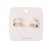 1 Pair Fairy Style Sweet Leaf Flower Spray Paint Inlay Imitation Pearl Alloy Opal Zircon Earrings sku image 4