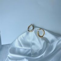 1 Pair Modern Style C Shape Plating Stainless Steel Earrings sku image 6