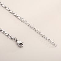 Simple Style Solid Color Stainless Steel Titanium Steel Plating Gold Plated Women's Necklace main image 5