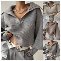 Women's Knitwear Long Sleeve Sweaters & Cardigans Casual Solid Color main image 1