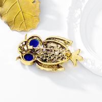 Style Classique Hibou Alliage Incruster Strass Opale Unisexe Broches main image 4