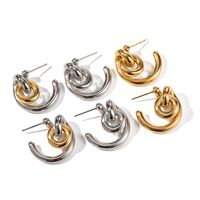 1 Paire Style Ig Irrégulier Placage Acier Inoxydable Plaqué Or 18k Boucles D'oreilles main image 2